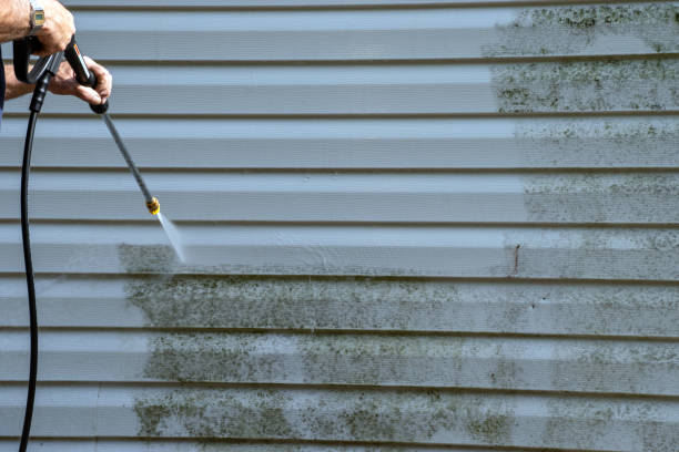 Best Residential Junk Removal  in Braddock Hills, PA